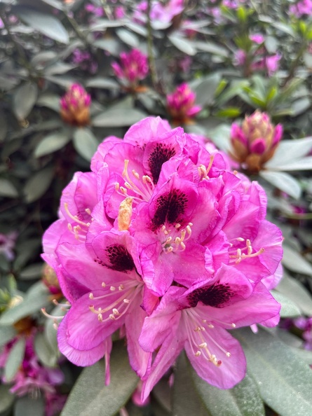 23-06-03 17-18-47 5822.jpeg